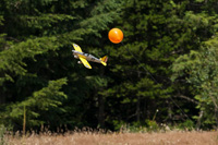 2013 Warbirds Fly-In